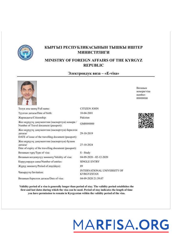 Realistic Kyrgyzstan electronic visa Psd template